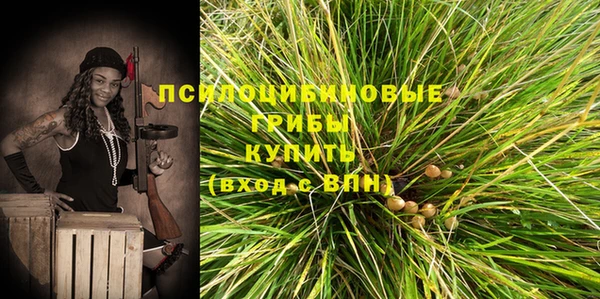 ГАЛЛЮЦИНОГЕННЫЕ ГРИБЫ Зерноград