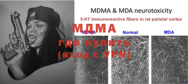 молекула духа Зеленокумск
