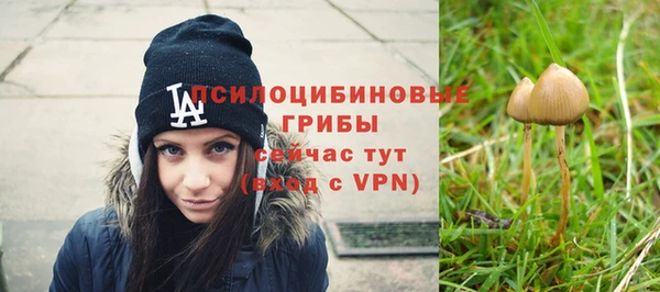 ГАЛЛЮЦИНОГЕННЫЕ ГРИБЫ Зерноград