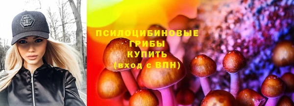 марки lsd Бикин