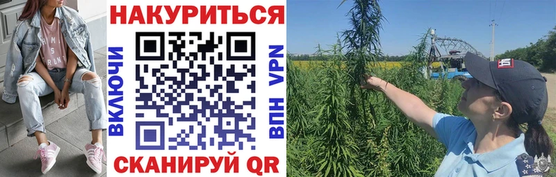 Шишки марихуана Bruce Banner  Каменногорск 